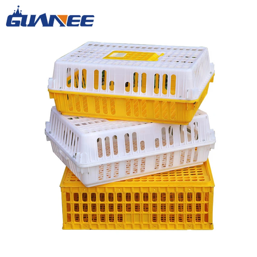 product-850-850 product-850-850