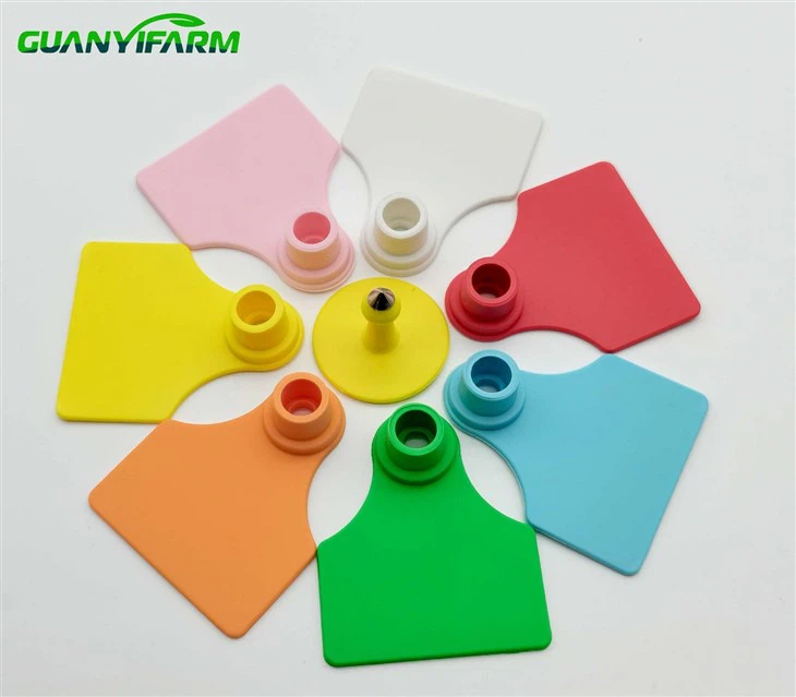 Fialóház füljelölése