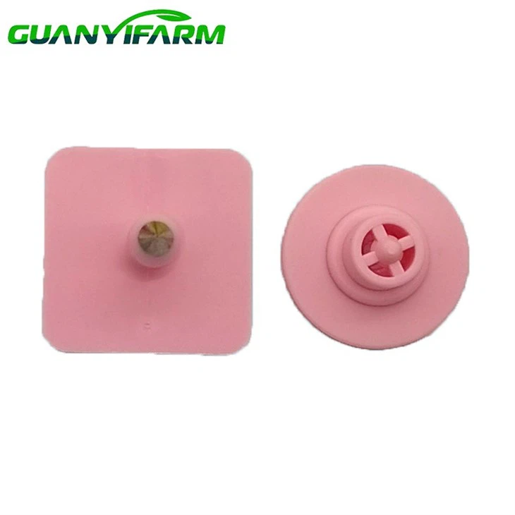 Farrowing House Ear Marking