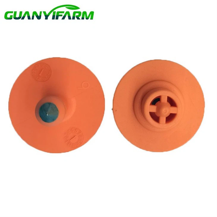 Farrowing House Ear Marking