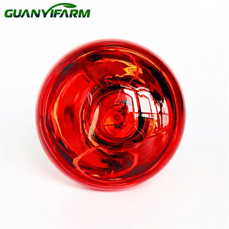 Infrared Brooder Lamp