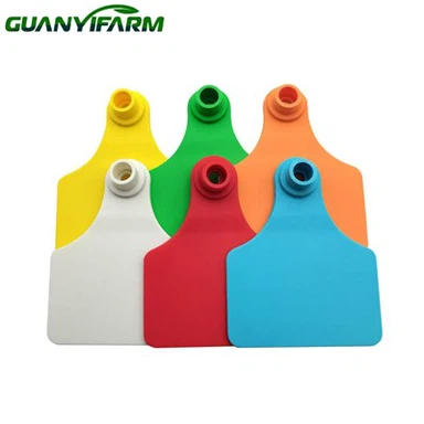 Fülcímkék Szarvasmarhának