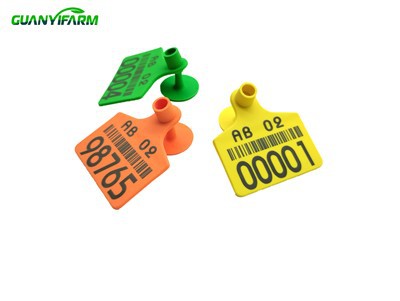 A gazdaságban azonosítsa az állatállomány füljelölését