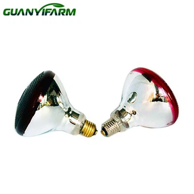 PAR38 tenyésztési fűtőlámpa