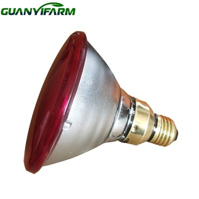 PAR38 Press Glass Heat Lamp