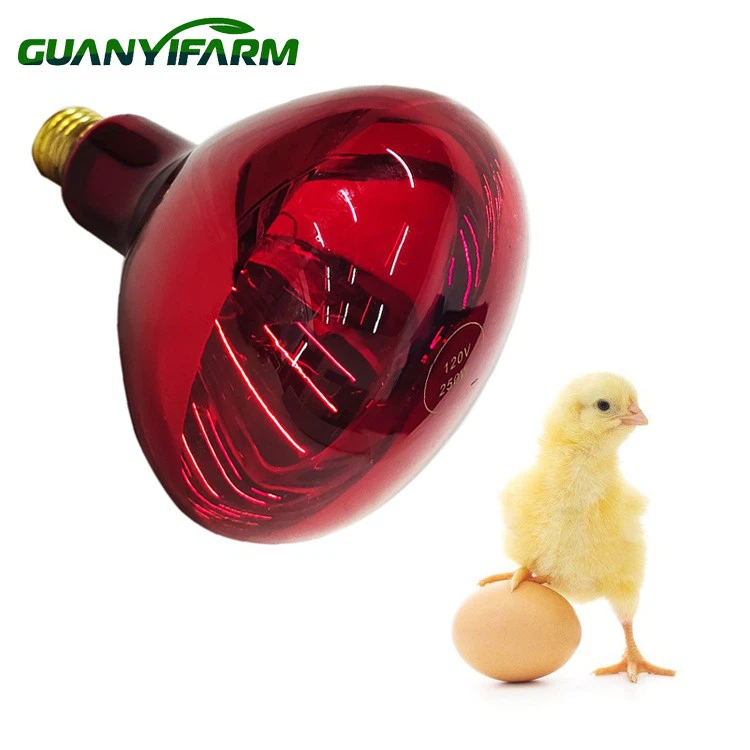 R40 infravörös hőlámpa