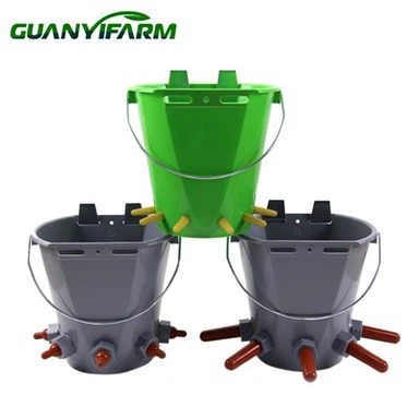 Borjú tápláló vödör