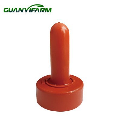 Borjú tápláló mellbimbó