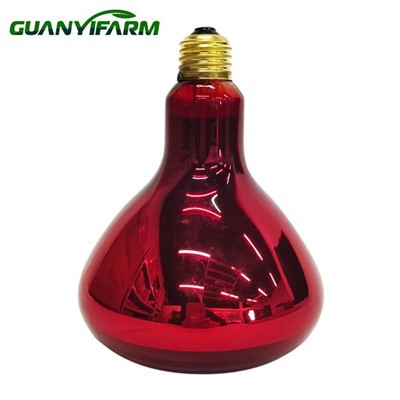 Piros Lámpa Csibéknek