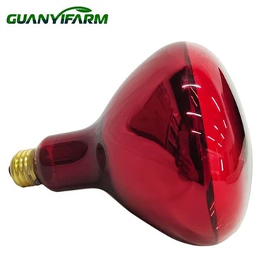 Piros villanykörte csirkéknek